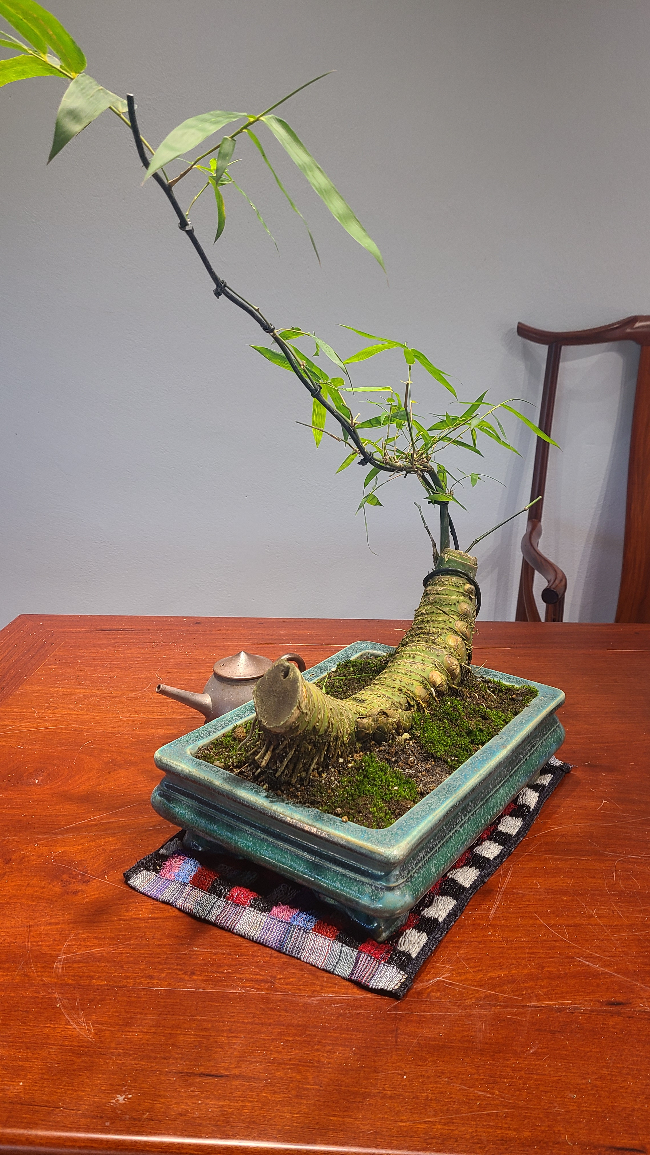 Tre BS Mini - Để Bàn Tre BS Mini - Để Bàn